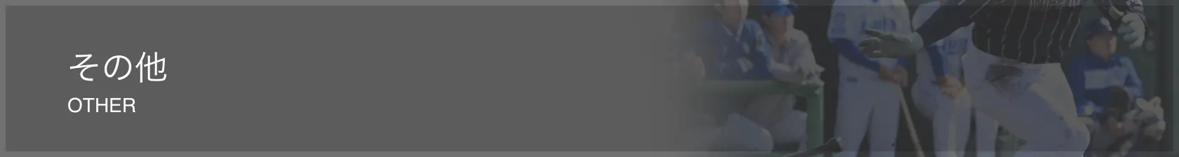 その他