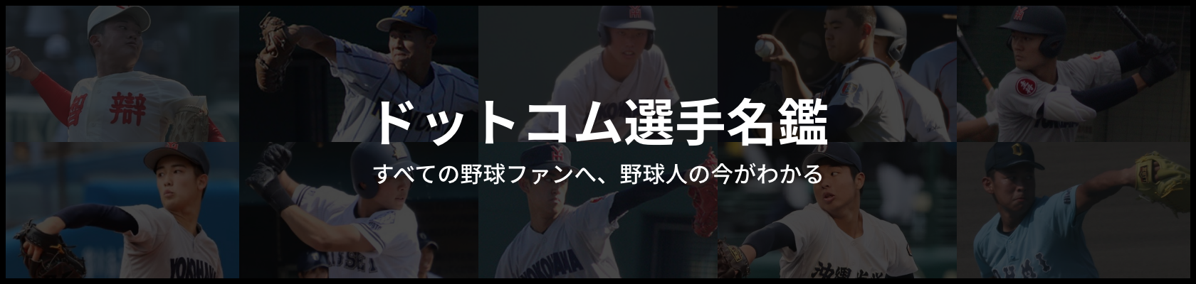 ドットコム選手名鑑